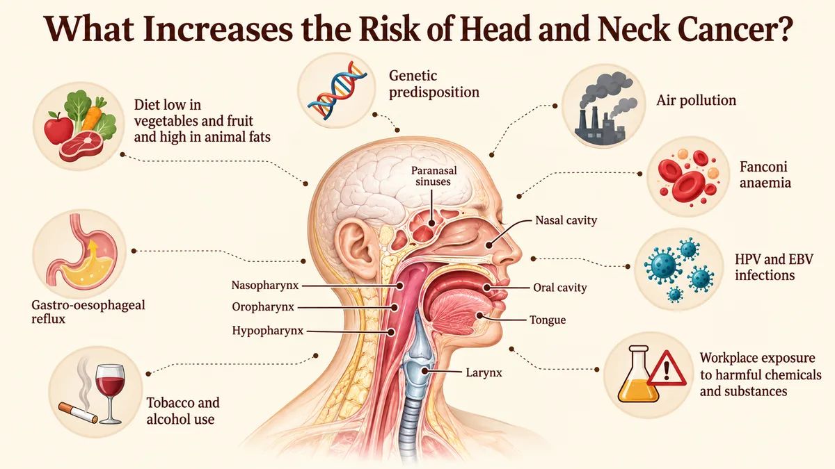 Risk factors for head and neck cancer: tobacco and alcohol use, HPV and EBV infections, reflux, diet, air pollution, genetics and workplace chemical exposure